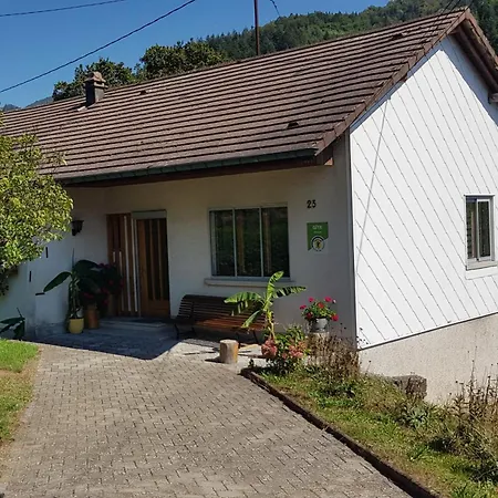 Villa Les Noyers Du Wissbach Willer-sur-Thur Exterior foto