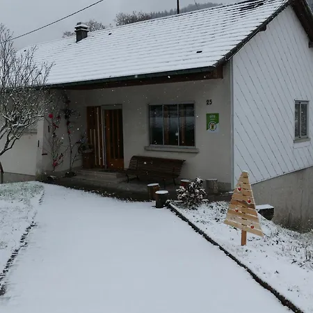 Villa Les Noyers Du Wissbach Willer-sur-Thur Exterior foto