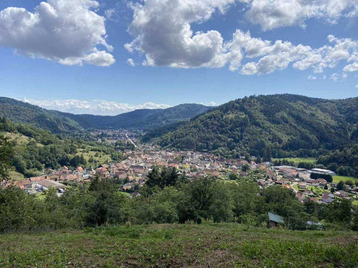 Les Noyers Du Wissbach Vakantiehuis Willer-sur-Thur