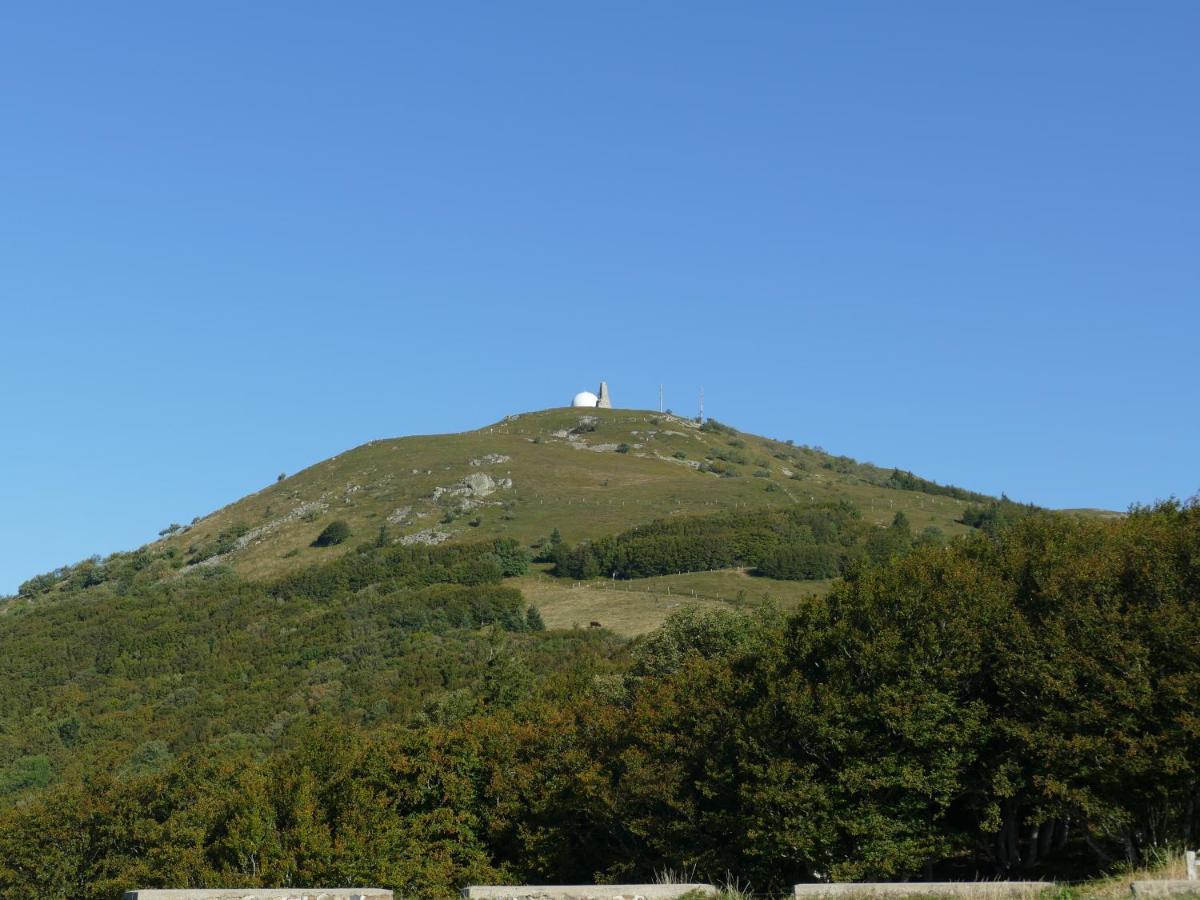 Les Noyers Du Wissbach Willer-sur-Thur