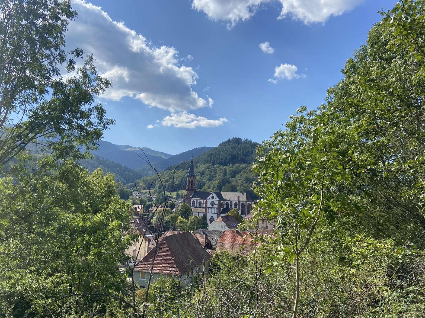 Les Noyers Du Wissbach Vakantiehuis *